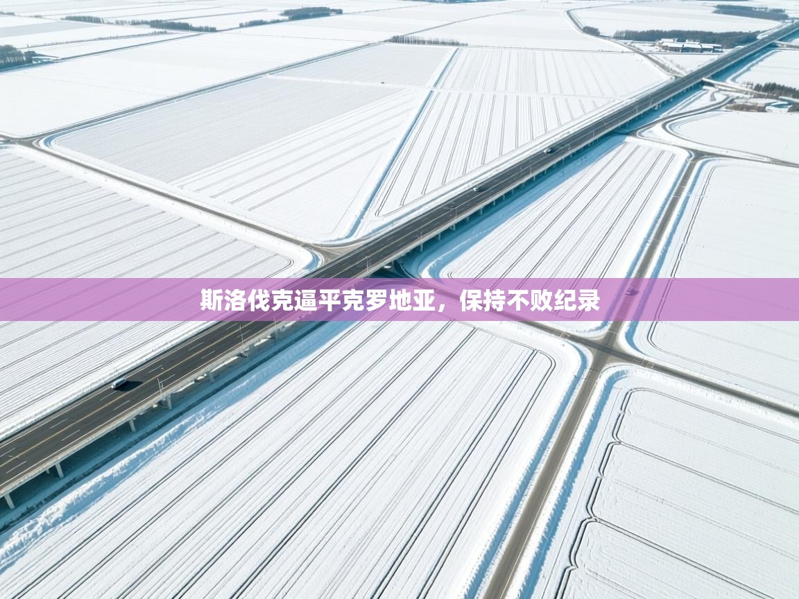 斯洛伐克逼平克罗地亚,保持不败纪录 第2张