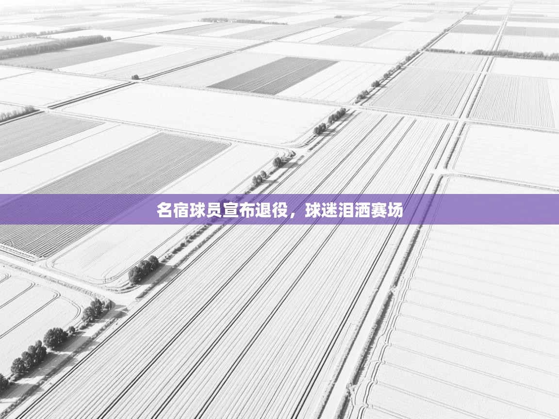 名宿球员宣布退役，球迷泪洒赛场  第1张