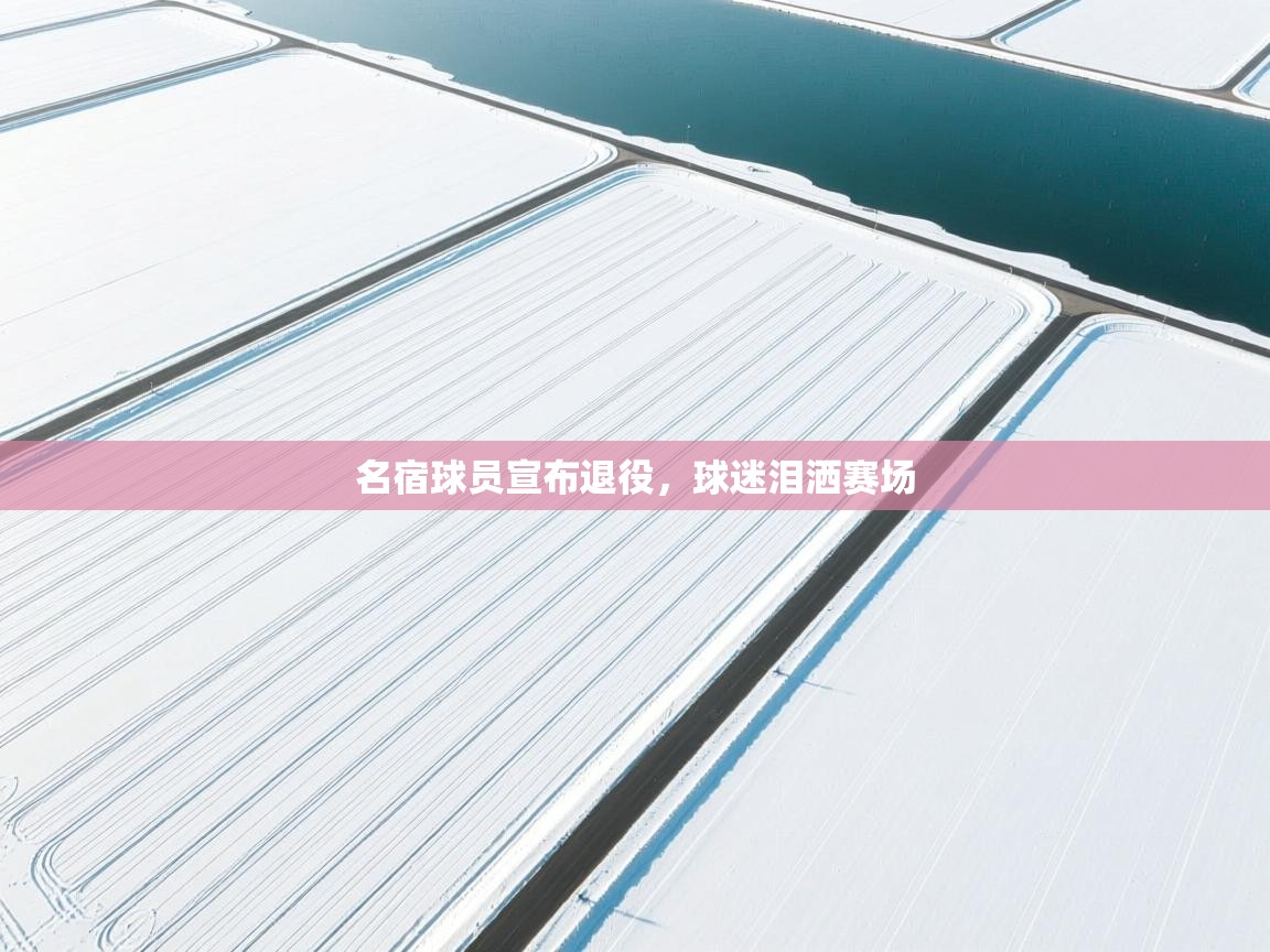 名宿球员宣布退役，球迷泪洒赛场  第2张