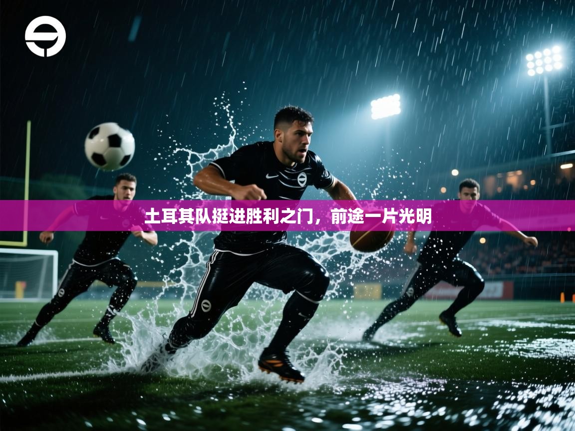 土耳其队挺进胜利之门，前途一片光明  第1张