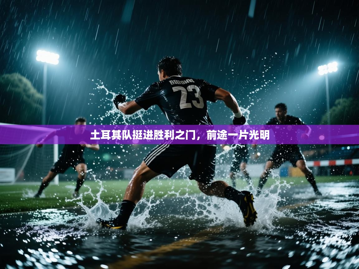 土耳其队挺进胜利之门，前途一片光明  第2张