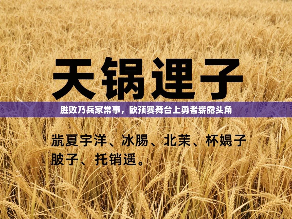 胜败乃兵家常事，欧预赛舞台上勇者崭露头角  第1张